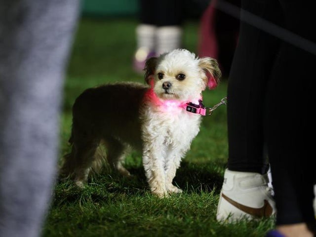 The Southsea Glow Walk on March 18, 2022