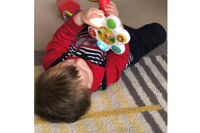 Adopt South is looking for a permanent home for two-year-old Joe