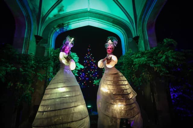 Glow at Marwell