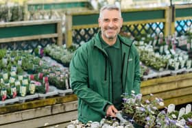 A member of staff at Dobbies garden centre