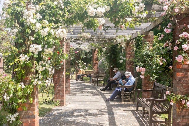 The Rose Garden in Southsea is a picture-perfect getaway on the seafront where you can sit, relax and get away from the hustle and bustle of the promenade.