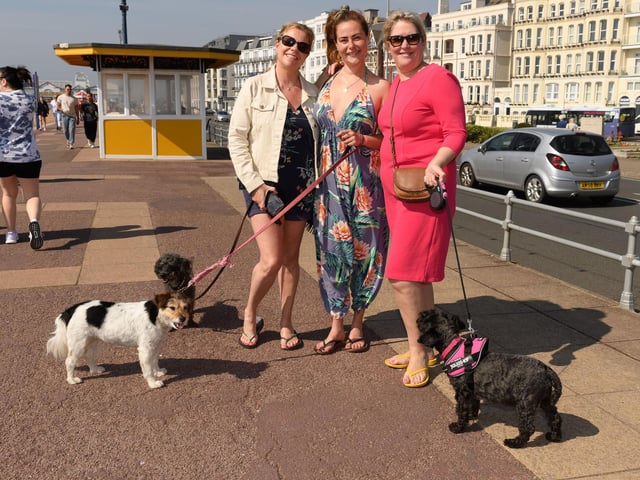 Jayne and Georgia Stechman with Tracey  Jones with their dogs (160421-55)