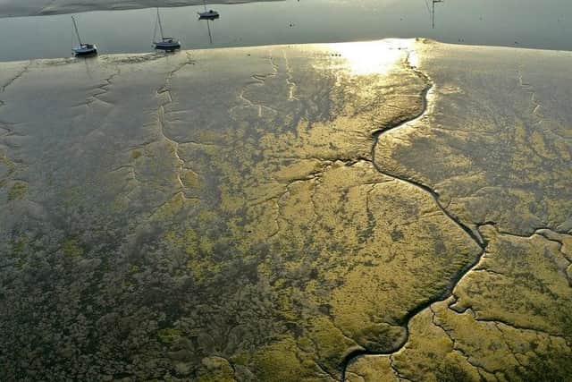 Solent mudflats. Picture: Mark Cox