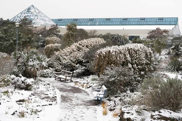Snowy Southsea in 2018. Picture Credit: Keith Woodland