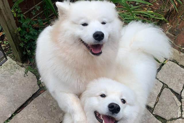 Luna, wellbeing officer and Polly, assistant wellbeing officer at Toro Recruitment.