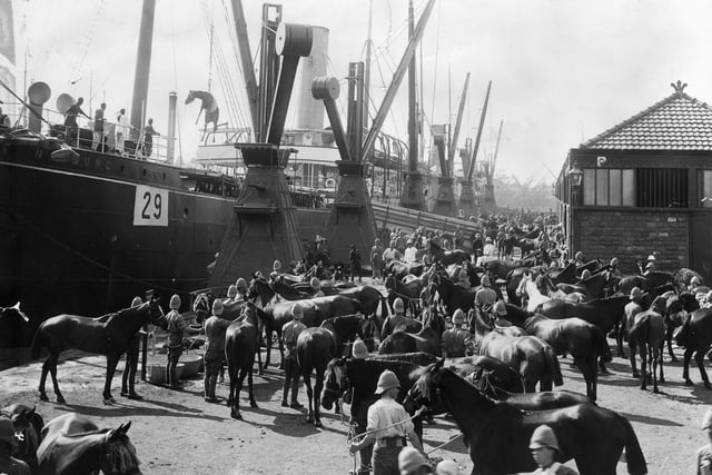 circa 1900:  British cavalry on the quayside at Portsmouth during embarkation for Bombay.  (Photo by Hulton Archive/Getty Images)
