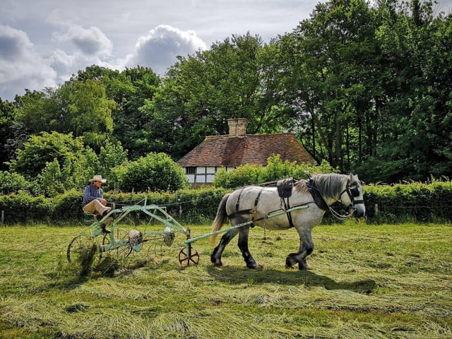 See historic farming in action. Photo: Weald & Downland Living Museum