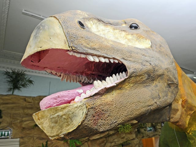 A huge dinosaur is just one of the many highlights at the highlights at the free to enter Cumberland House Natural History Museum where you can you can take a walk through the A-Z of Natural History. A popular feature is the museum's Butterfly House where you can watch the magical creatures as they fly around and - most likely - land on you too. The museum, next to Canoe Lake, is open Tuesday to Sunday, 10am-5pm.