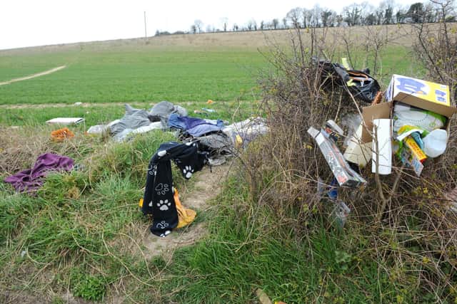 Fly-tipping on the A32 Wickham Road between Droxford and Wickham, on Monday, March 30. Picture: Sarah Standing