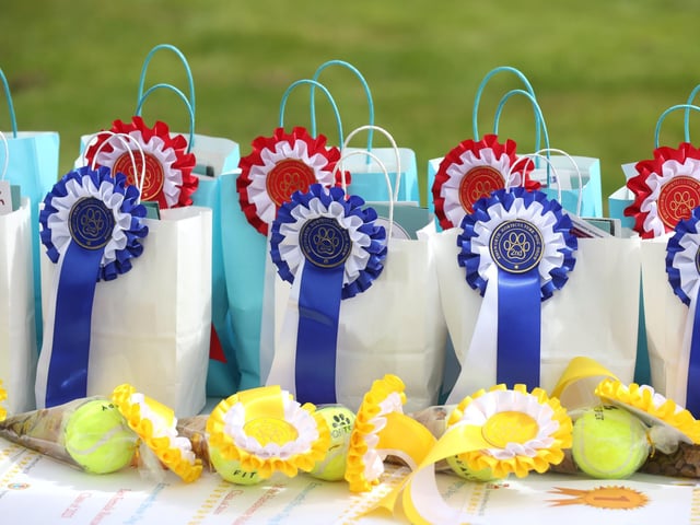 The Emsworth Show taking place on August Bank Holiday Monday in the sunshine. Pictured is action from the event.Monday 28th August 2023.Picture: Sam Stephenson.