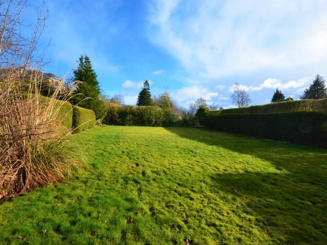 Rear garden.
