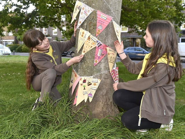 Pictured is: (l-r) Brownies Cristabelle O'Byrne (10) and Phoebe Johnson (9).
Picture: Sarah Standing (150523-4062)