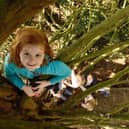 Children climbing a tree in the grounds of Mottisfont. ©National Trust Images/John Millar