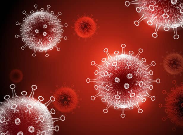 This is what coronavirus looks like. Picture: Shutterstock