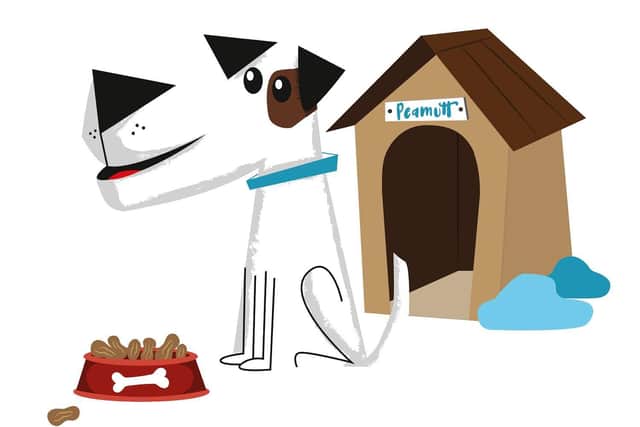 One week to go! Dogs in Portsmouth could be famous