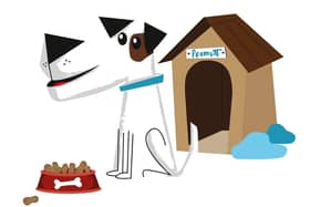 One week to go! Dogs in Portsmouth could be famous