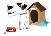 One week to go! Dogs in Portsmouth could be famous
