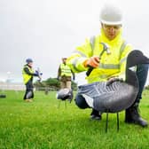 Southsea Costal engineering team setting up the fake geese at Castle Field on October 12.

Picture: Habibur Rahman