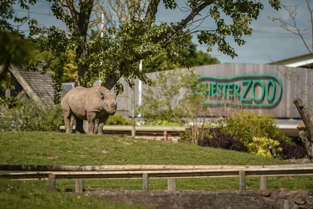 Chester Zoo 
