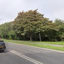 Southern Water has confirmed that repair work in Eastern Road will take place sooner than anticipated.