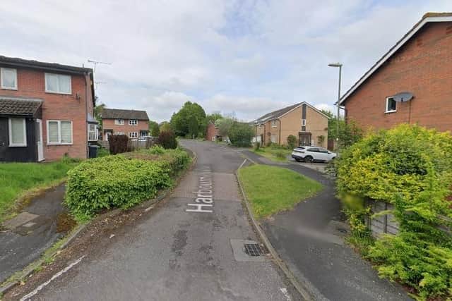 The cat was found dead behind a house in Harbourne Gardens, West End. Police believe the cat was killed deliberately in a "malicious" act of cruelty. Picture: Google Street View.
