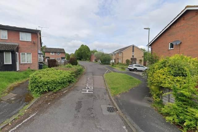 The cat was found dead behind a house in Harbourne Gardens, West End./ppPolice believe the cat was killed deliberately in a