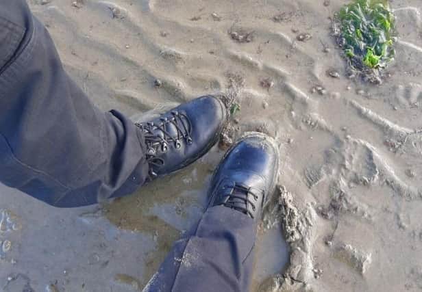 Police investigate cockle-picking at Hill Head beach. Pic Fareham police