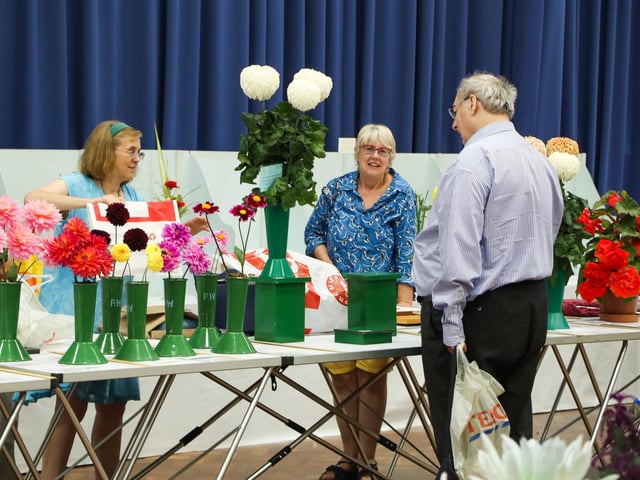 A selection of beautiful flowers on display at the Purbrook Horticultural Society Summer Show