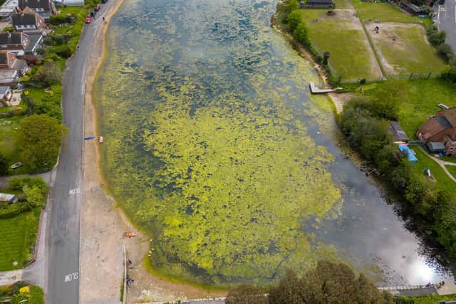 Stoke Lake Picture: Steve Hammond