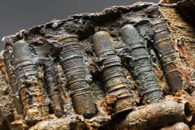 Close up of a selection of thimbles from the Rooswijk. The concretion around all the artefacts is holding the thimbles together in these straight rows. Picture: Rijksdienst voor het Cultureel Erfgoed / Historic England, James O. Davies