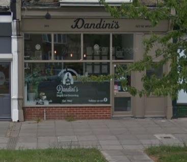 Dandini's Dog Grooming have received a Google rating of 4.8 with 148 reviews.