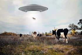 Is this really what alien visitors get up to? Picture by Shutterstock