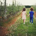 Columnist Steve Canavan's four-year-old daughter Mary has a 'boyfriend', and Steve's not amused. Picture by Shutterstock