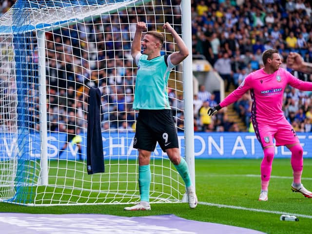 Colby Bishop celebrates his goal at Sheffield Wednesday today.
