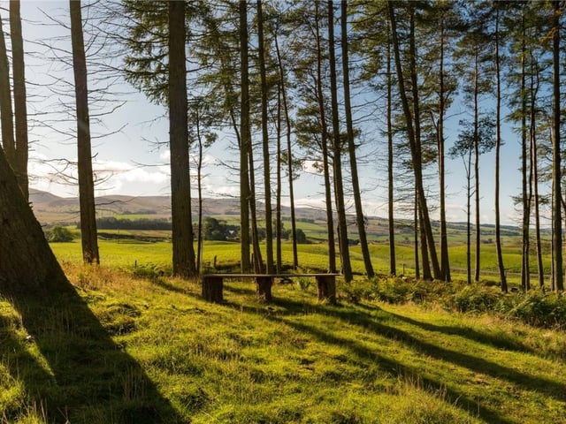 There is a lovely seating area at the top of the hill in the heart of the woodland which acts as a great vantage point.