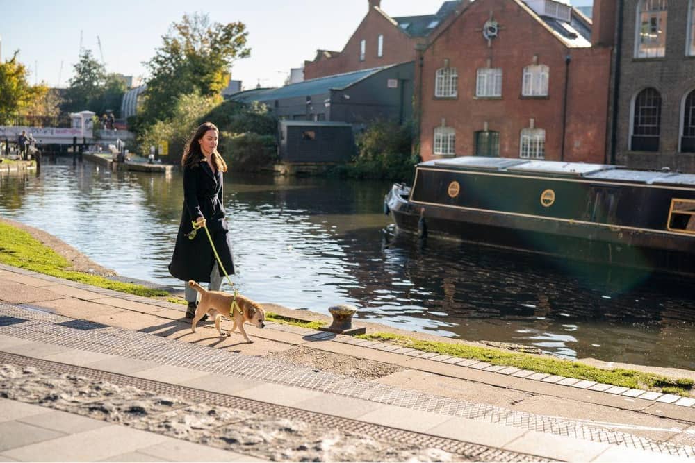 Over three quarters (77%) of owners and their pooches are bored of doing the same walk: Rover reveals the best ‘treat walks’ for the bank holiday weekend
