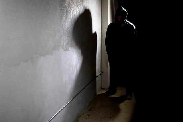 The kind of horror Steve Canavan imagined lurking in the shadows behind his house... Picture by Shutterstock