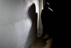 The kind of horror Steve Canavan imagined lurking in the shadows behind his house... Picture by Shutterstock