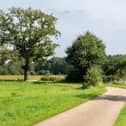 Enjoy our green spaces