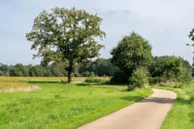 Enjoy our green spaces