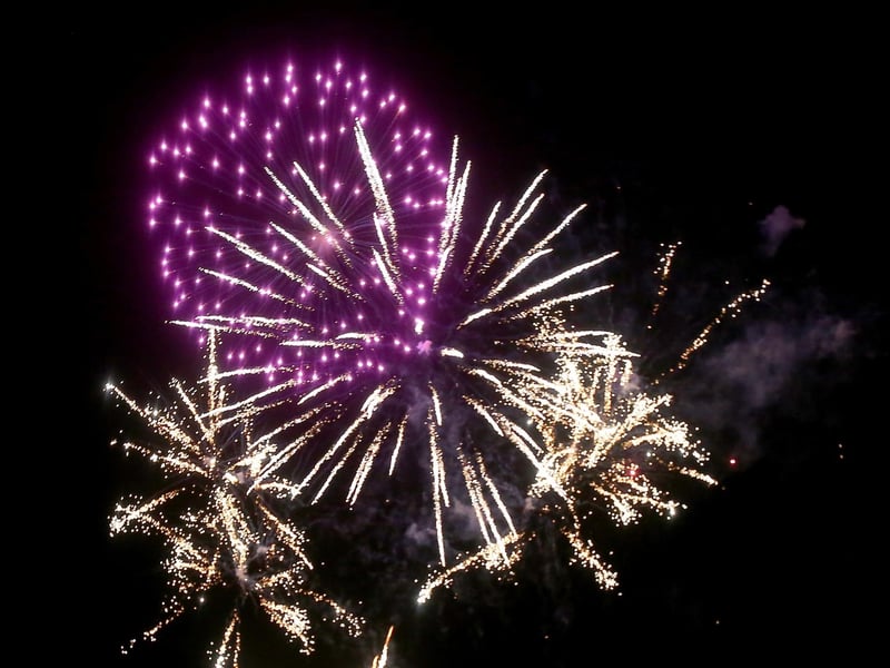 Portsmouth City Council's firework display on Southsea Common
Picture: Chris Moorhouse (jpns 011123-54)