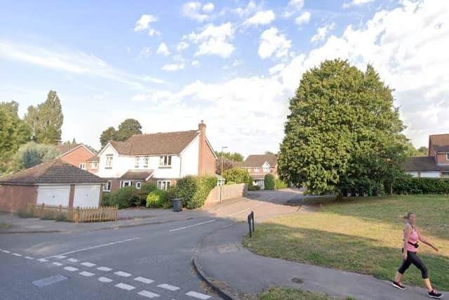 The view from Cricklemede, Bishop's Waltham, looking towards Cherry Gardens. Picture: Google