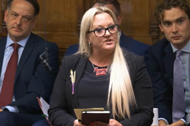 Portsmouth North MP Amanda Martin speaking during Prime Minister's questions in the House of Commons on Wednesday, September 11. Picture: parliamentlive.tv