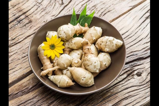 Also known as a sunroot, sunchoke, or earth apple, the Jerusalem artichoke is a root vegetable native to central North America.