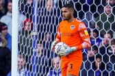 Pompey keeper Gavin Bazunu is set to jet off on international duty again this month with the Republic of Ireland