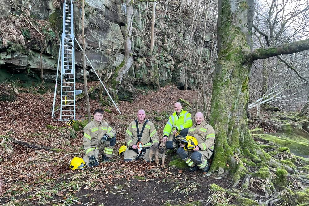 Watch the moment a stranded dog gets rescued from a cliff