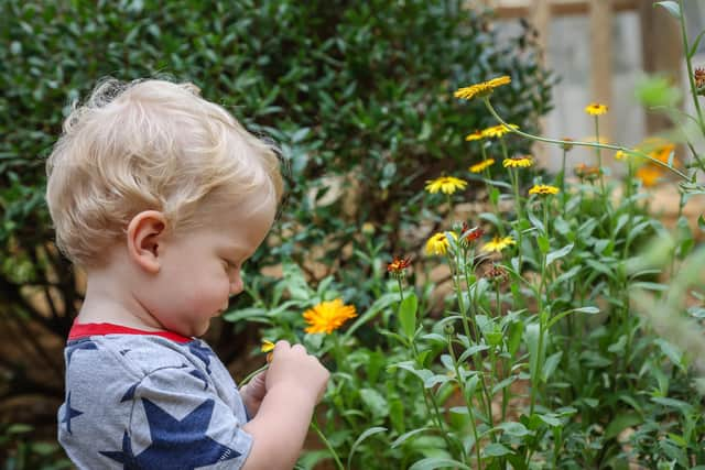 Marwell Zoo has created a new exhibit called Thriving Through Nature.