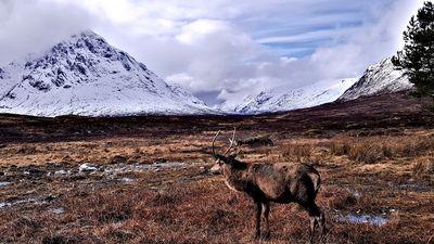Glen Coe appears again because it's so beautiful - it deserves two shots.