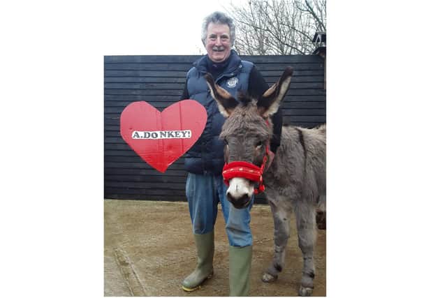 Hayling Island Donkey Sanctuary is encouraging people to adopt a donkey as a Valentine's gift for a loved one. Pictured: Volunteer Phill Upshall with Pedro the donkey