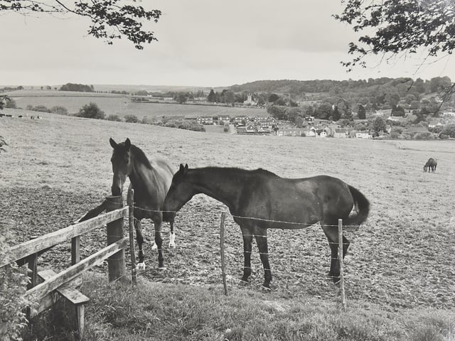 Pictured is: Overlooking Hambledon in 1974. Picture: (7201-5)